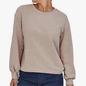 Patagonia Regenerative Organic Certified Cotton Essential Sweatshirt Beige